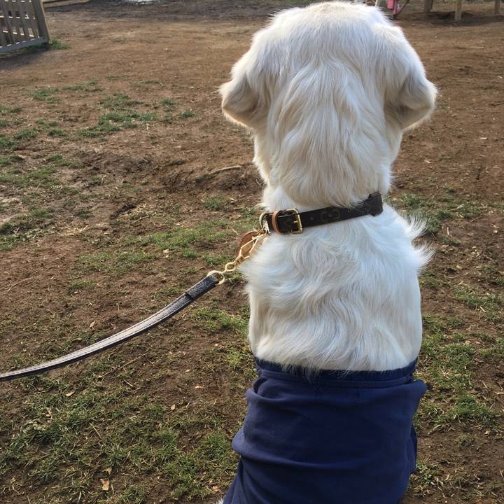 91f272c7 9861 4998 bfc2 ed94ca53058f