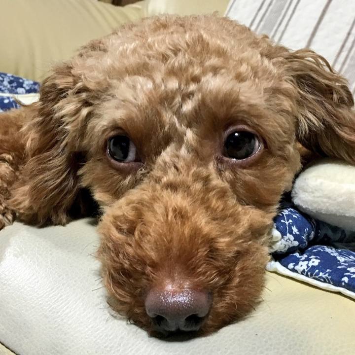 91f2825f b2ad 454b aadf 013025420813