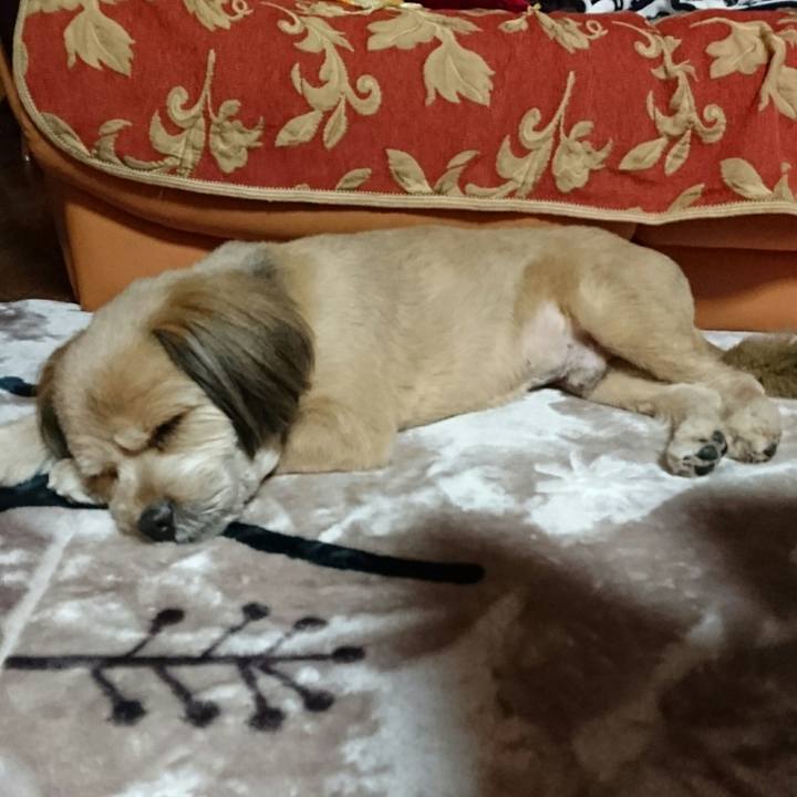 91f35350 bda3 48b4 ae76 7848a1d1bb9e