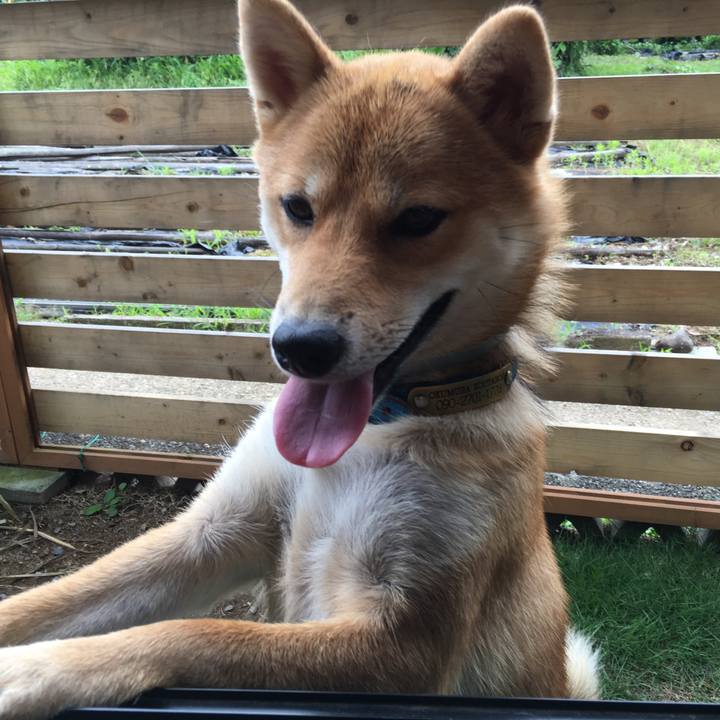 91f36c58 66f0 4447 ac92 2948982f4376