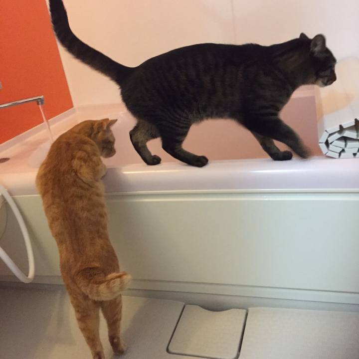 91f43182 0351 4e86 88eb 9bd65a398d08