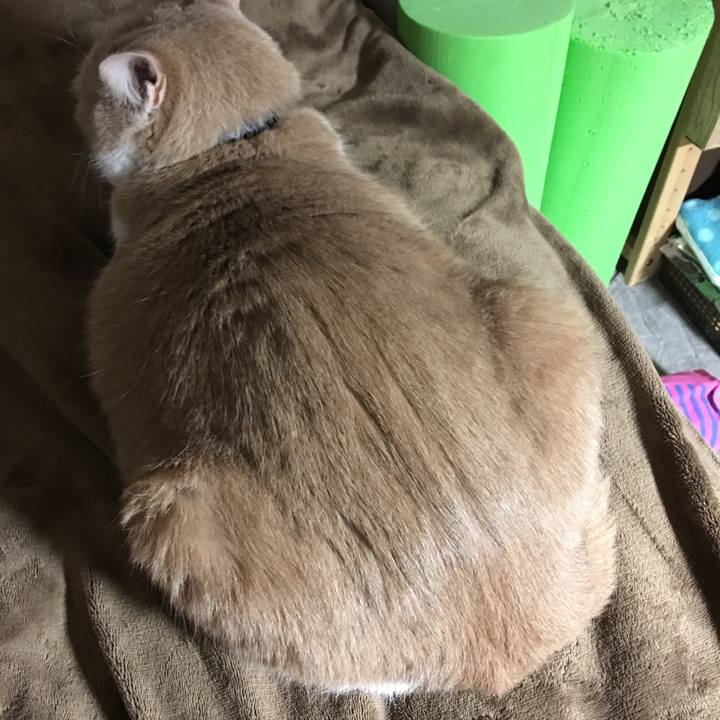 91f44fa9 4818 4b39 bfd0 e120e947b9e3