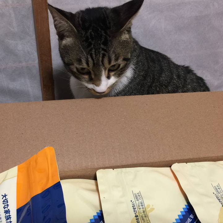 91f46a4e b19c 4784 8de2 fbefd95a1c57