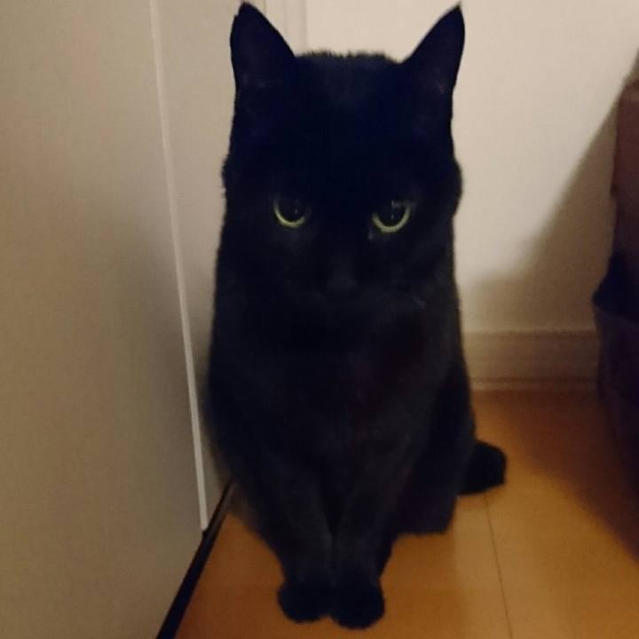 91f4b9b7 09c9 4446 bf0f 5de2a9cc8fcd