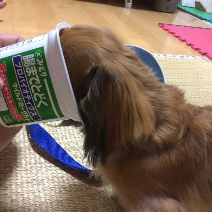 91f5167e 3eb9 4535 b3ba d5dd759bf62b