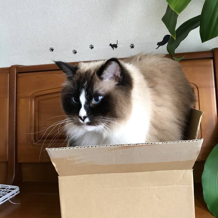 91f56c76 56cc 47f0 88d5 d1dba531072f