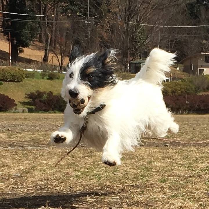 91f66498 2eb4 4294 850a 46ed9684312b