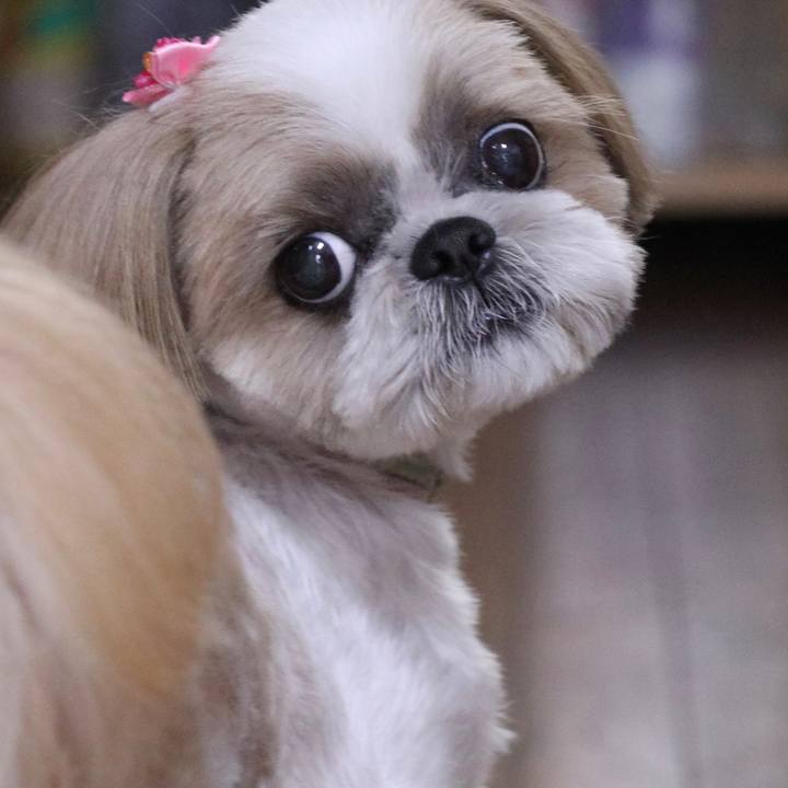 91f6cee2 8d03 4238 8883 5a42f0961562