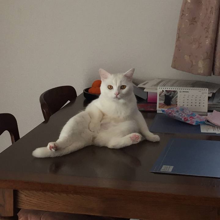 91f79d0f e33c 468f 934d e88d4f201118