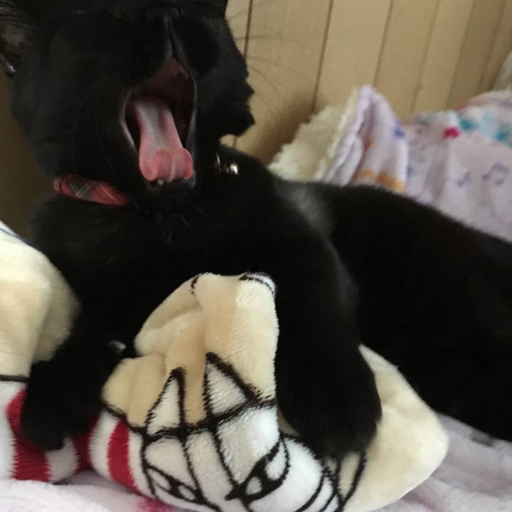 91f7a492 37c8 484d 8bdd 2aeecbd5e4c6