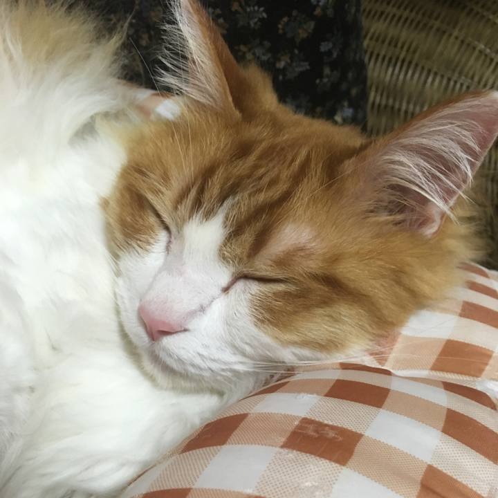 91f7e3c3 f142 46dd 8e2d 265b7c13684c