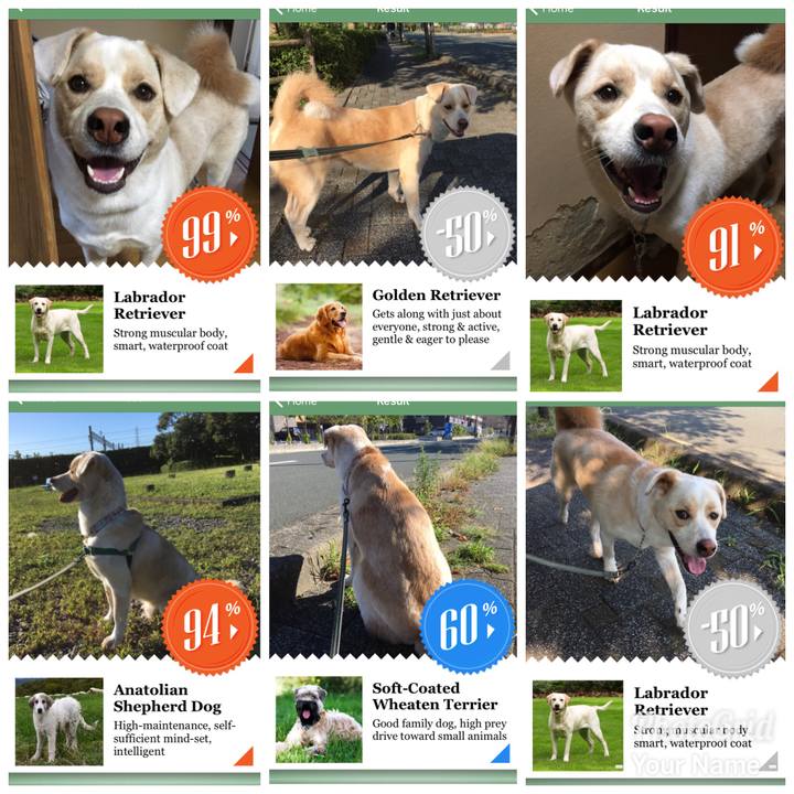 91f819c2 1cfa 47dd ba0a 98a9c4450a02