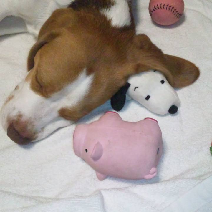 91f83636 fa5a 4046 8d7d e4a95f28e73f