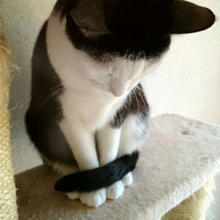 91f94d7d 1390 41c3 bd30 29989b0a2a27