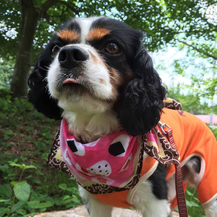 91f96989 713a 47ef 8f6e e57190d88ec8