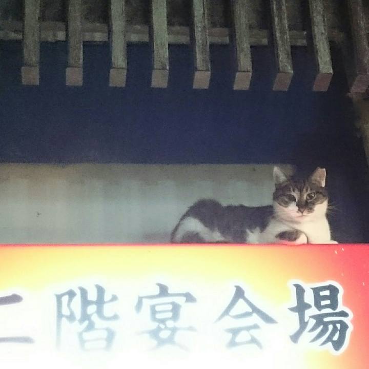 91fad3ef d47c 4bce bb95 52df162fb928