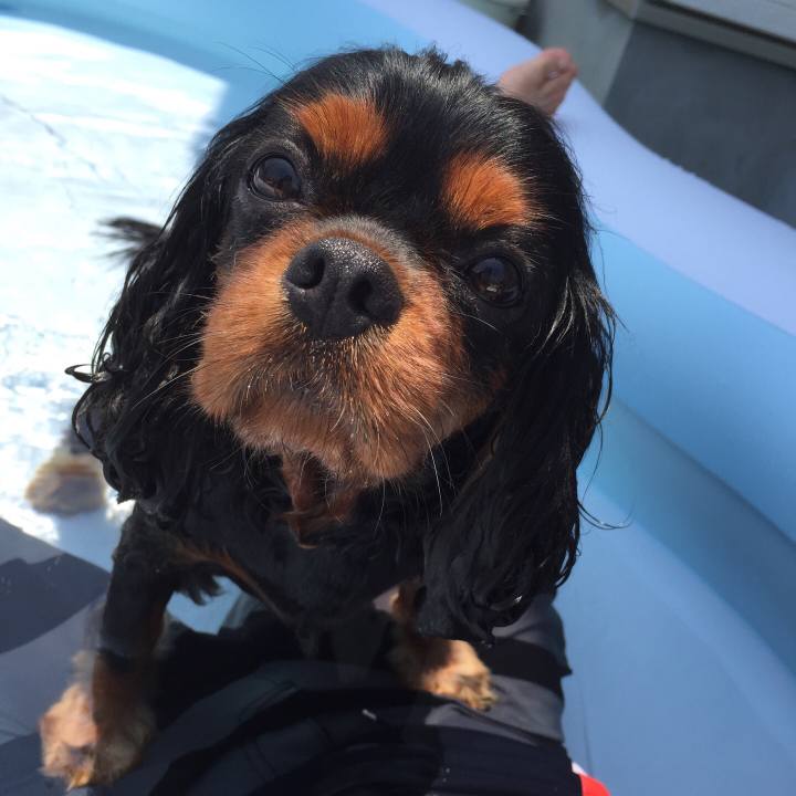 91fafb38 a881 49c8 bb0b 2524282eee04