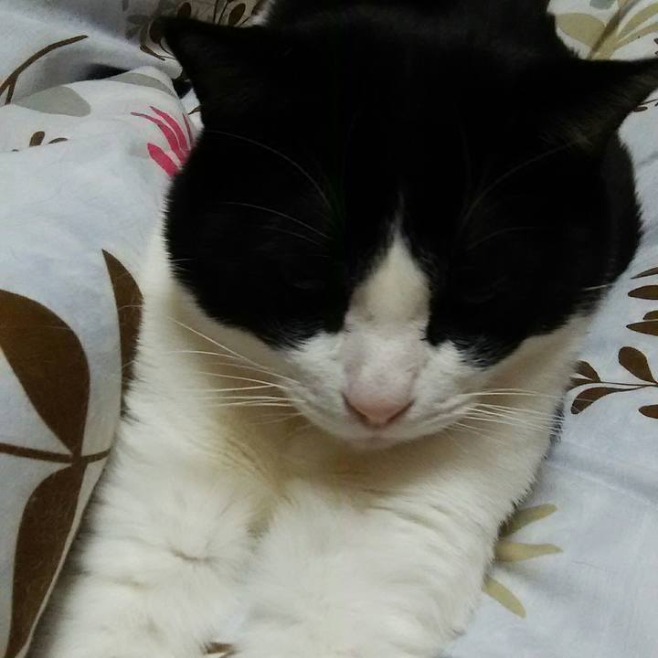 91fbd0df 7a92 465d ae13 f3c1dddc9d8f