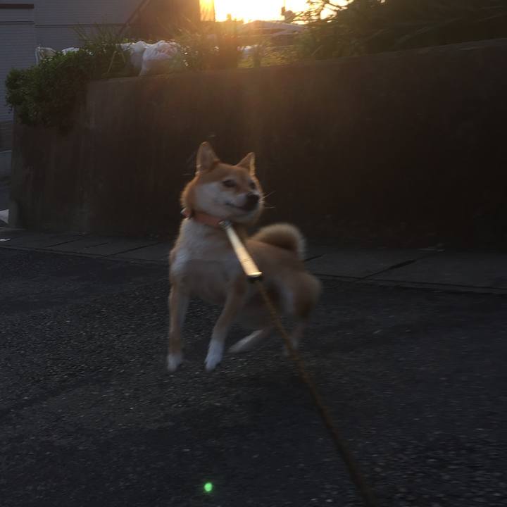 91fc2996 63bc 4af0 b252 33bd8886e530