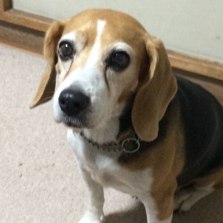 91fcd153 c474 4754 a7fc 7fb7cde4daf6