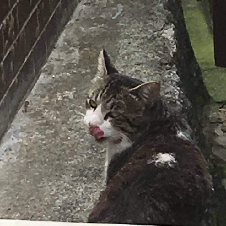 91fcd48f 957e 4d14 b4b9 04ff58636bbf