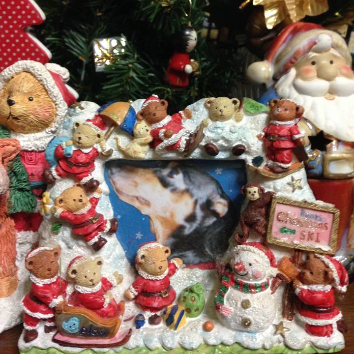 91fd5f9c 2f21 45e8 86d4 c5f240b7b4c3