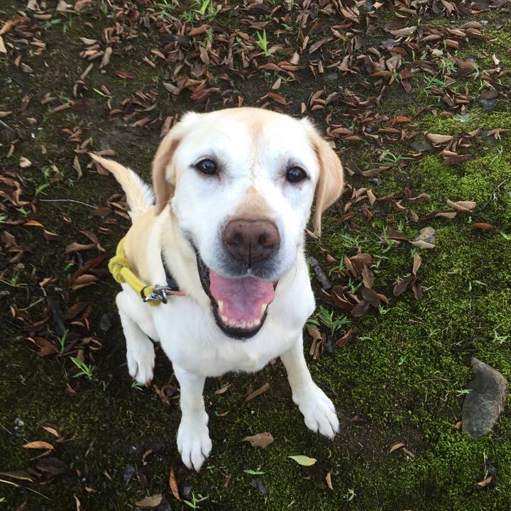 91fdae0c 41e8 43f3 95c9 e2fbf7857d0a