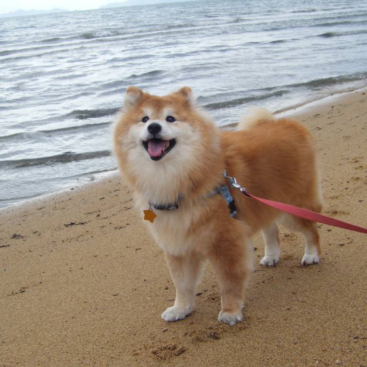 91fdbbe3 d4a5 4bc1 ac47 b0997c67443b