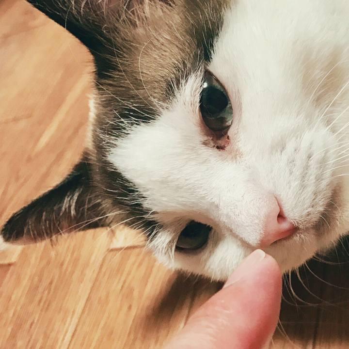 91fe64e2 9969 401b bada dc513dbff2b4