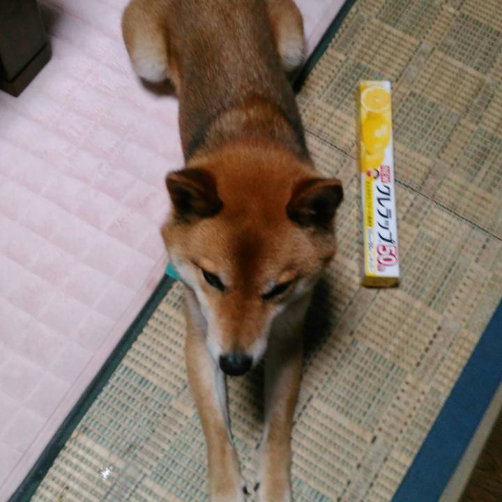 91feed19 9a89 4dac 9b9e 3e8bf905dd9a