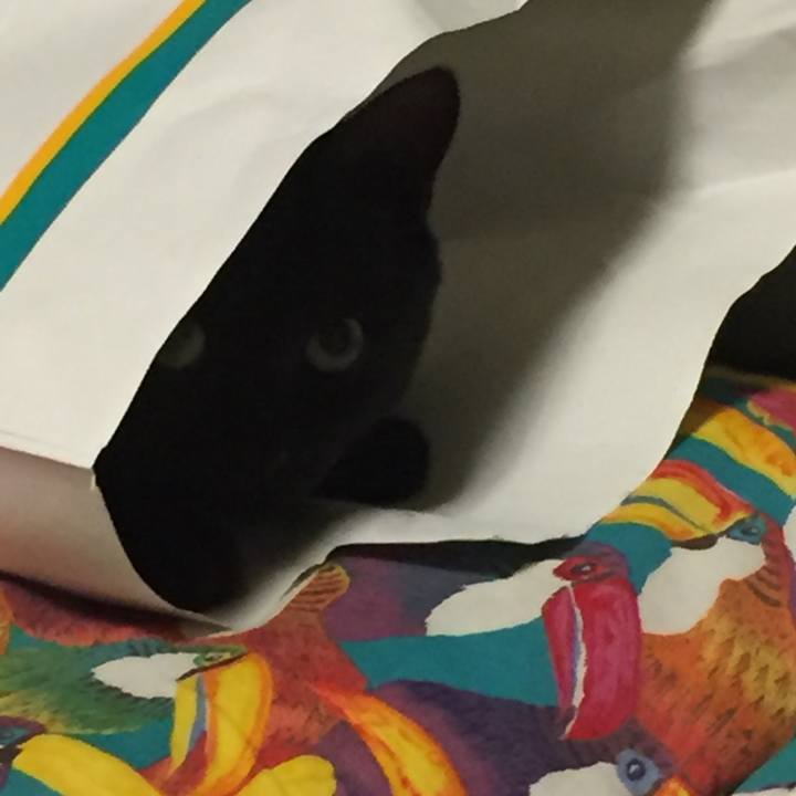 91ff4b80 33f0 449c ba52 c29be3cc64a6