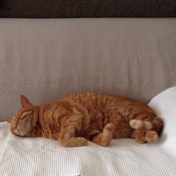 91ff902d abd2 49d9 8b51 2cc6e7ad6ba0