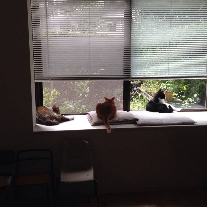 91ffca05 c2cc 4ea7 9bb0 81e8a2f27399