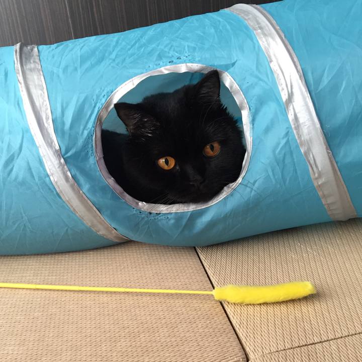 91ffe4eb 0613 4da8 b7b0 a536b404577e