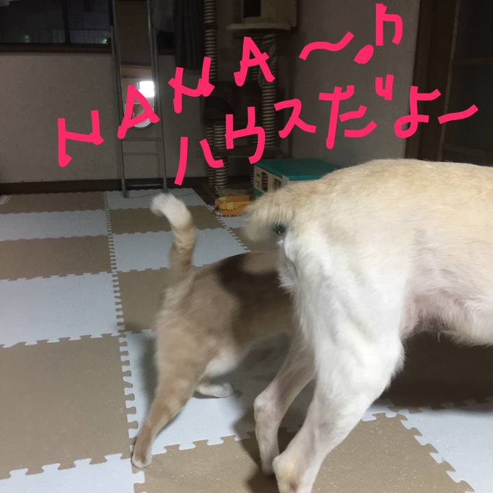 91fff1fc 7f9a 4d9f b633 adc9e09678af