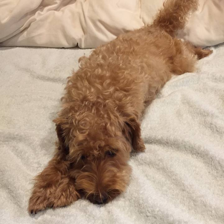 92003a5d f8d7 48ba a22d 482dea4f3d82