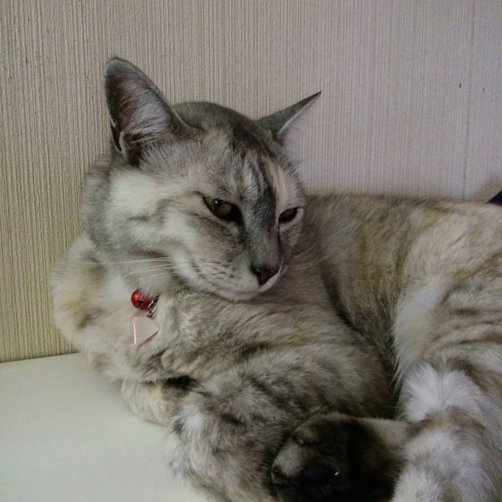 92004b3a b04c 42b2 99af e7e74f8f77ed