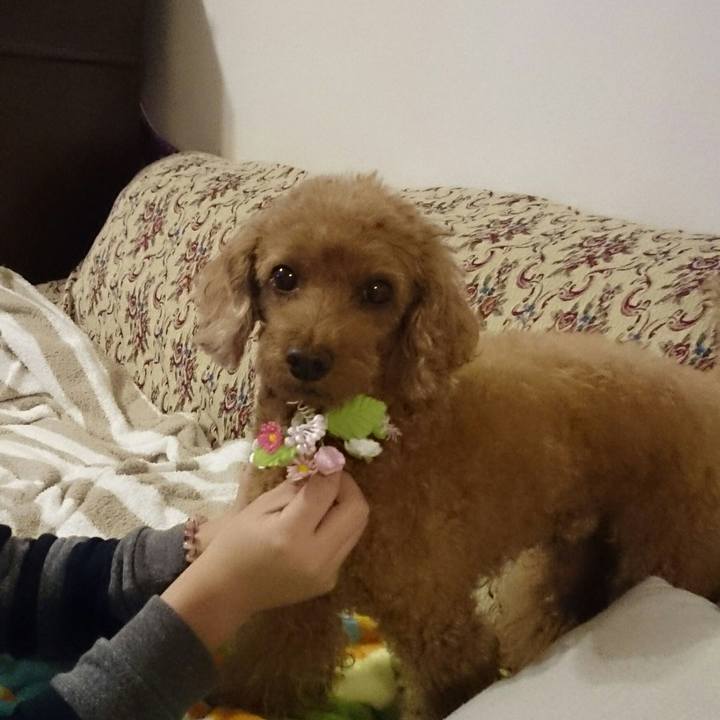 920216de b373 486e 8f88 038a99956f29