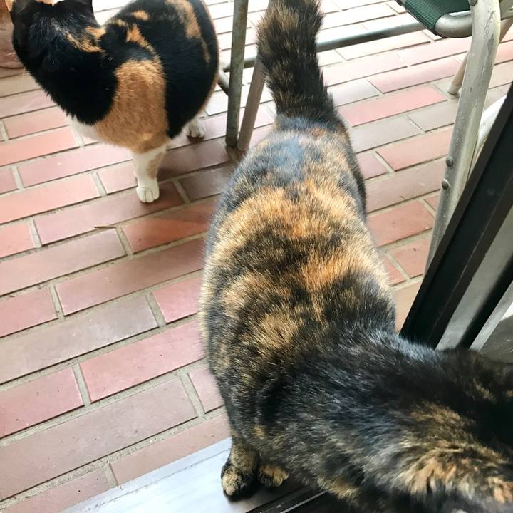 92024f60 cd20 444c b9f6 dc0efa6ada4b