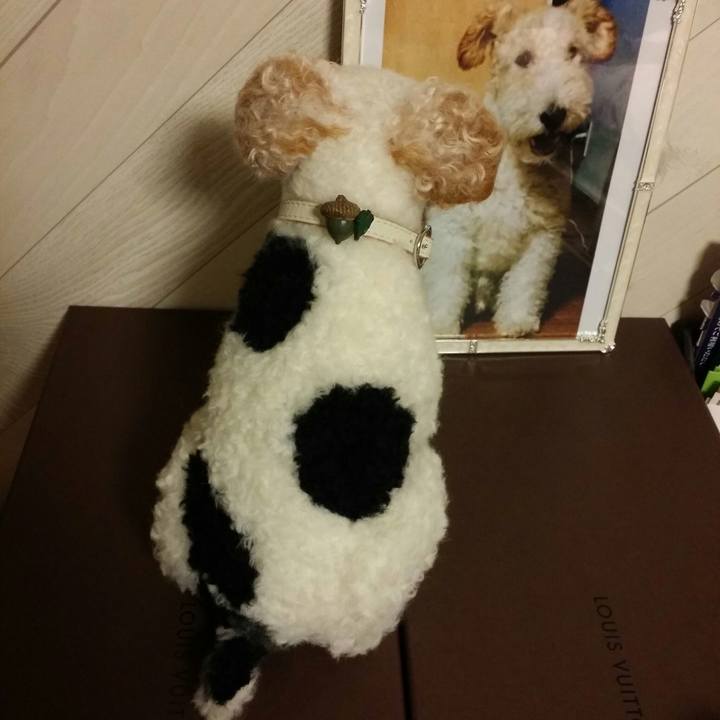 9202529a aa01 40b6 bf99 941b062262b7