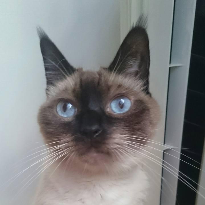 92034d68 12e8 4f92 9c39 de84c3369929