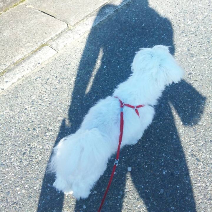 92035eb8 81ae 41e7 a757 e014d16ef847