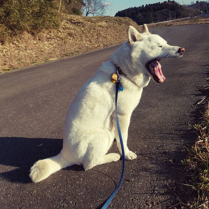 920374ec c93a 4f0f b498 31a9850c4e64