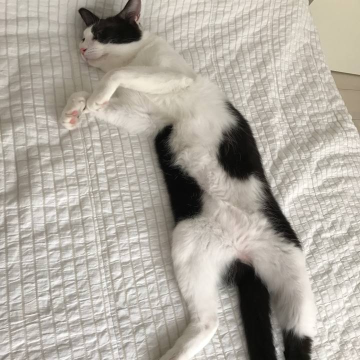 9203ecc3 e9f3 453a af69 5835cc62ec36