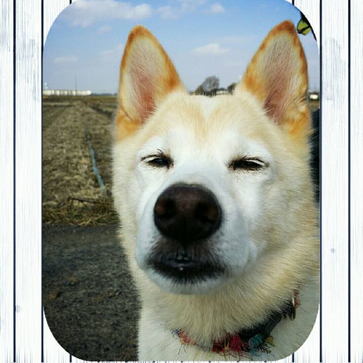 920427fa bfe7 4aa0 ab5b 99e284cc5284