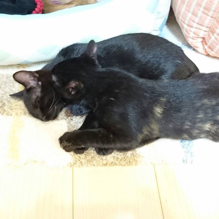 9204f04f 9292 45c9 9308 325186f163b3