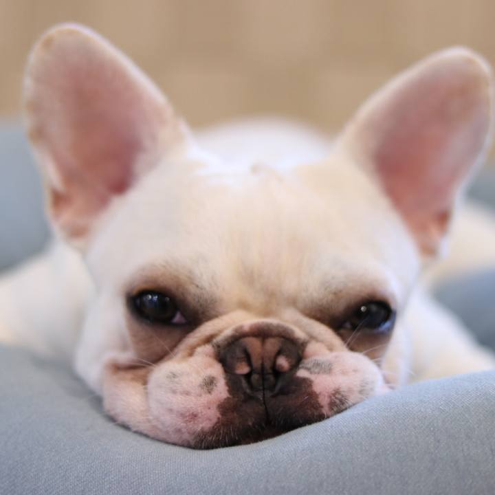 92055f57 0bf0 4af9 9cfd 8d9127f4f231