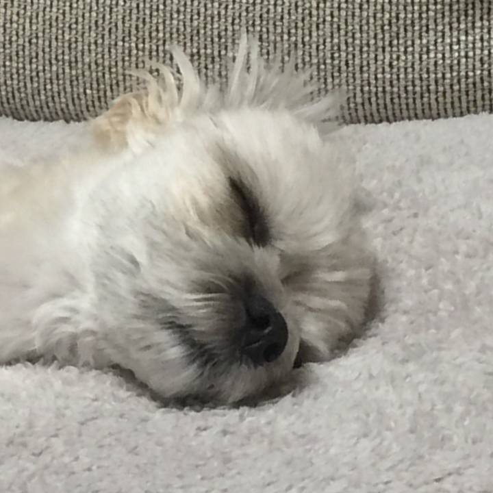 9205eb95 f8ea 4b88 8887 b4917e184fc9