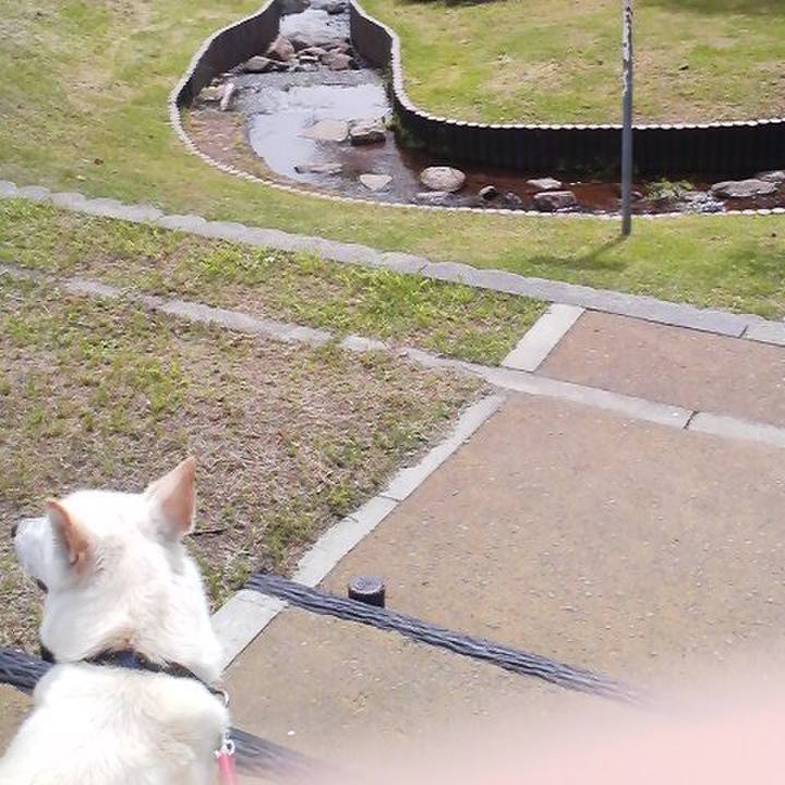 9205f3db a61e 4c5a 8432 67ab946e030f