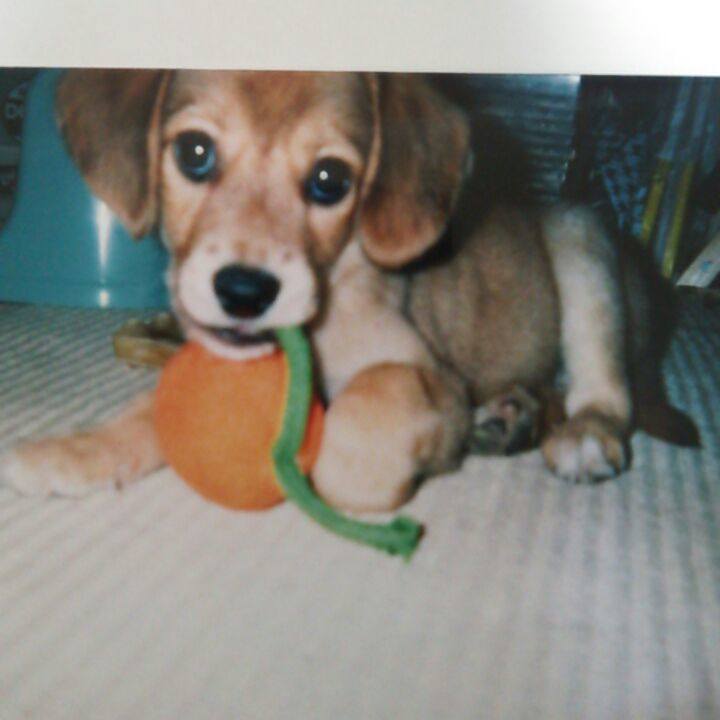 92064461 1ffa 4350 b0b0 65f0b10be36e